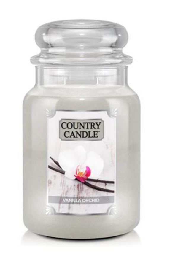 Vanilla orchid